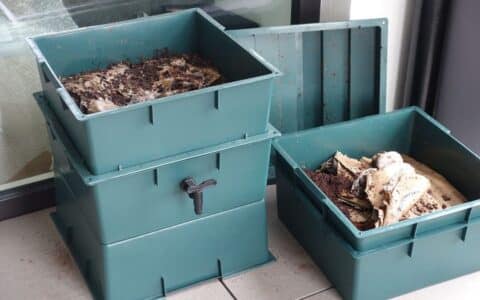 Worm Farming for beginners 1