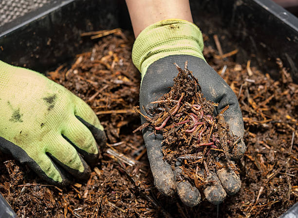 DIY Worm Farm