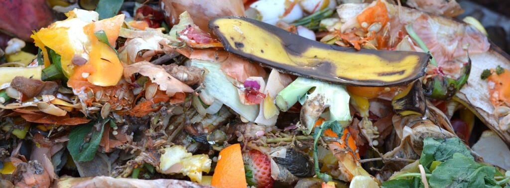 worm compost, fruit and vegetable waste, banana peel