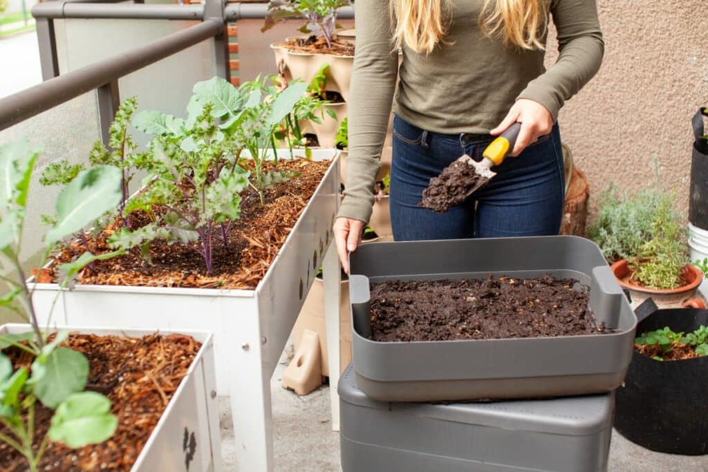 A women harvests fresh worm castings (compost) from a vermicomposter on her balcony, into her raised planter garden on her patio. She is side dressing small plant starts for fall