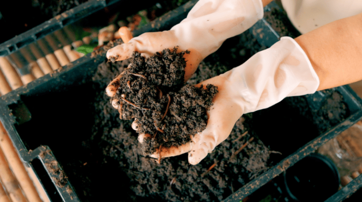 A farmer holding soil from a worm farm bin