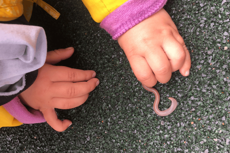 A kid trying to hold an earthworm