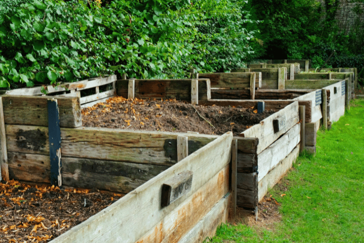 A set of healthy large wooden beds in a garden