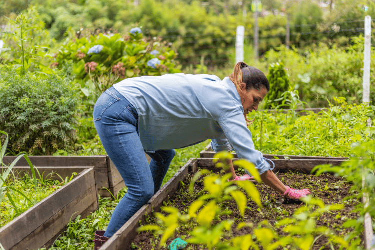 A woman Raising garden beds on loamy soil