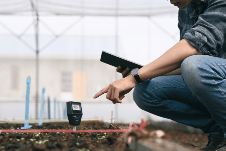 A young man measuring the moisture using  a moisture meter