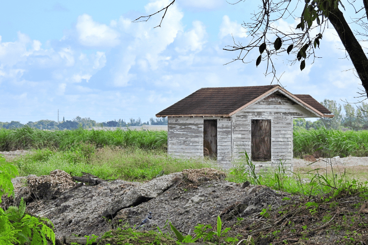  A small house on a farm in Florida 