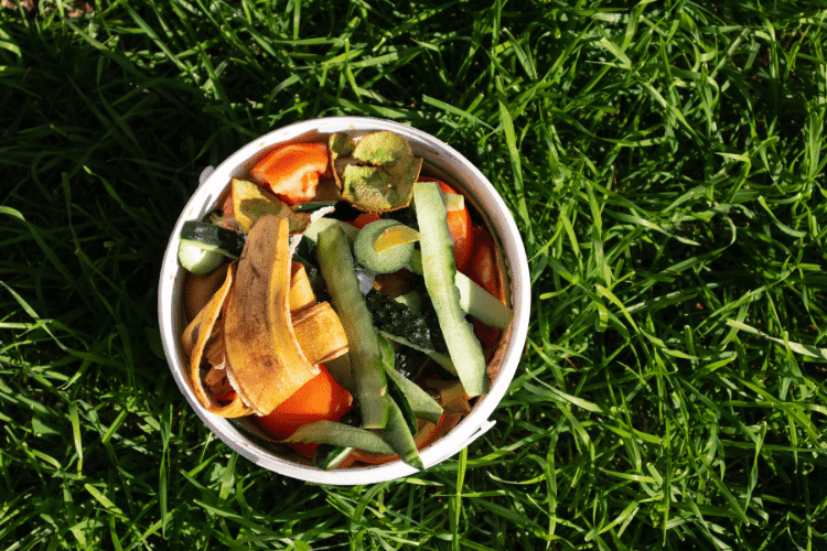 White bucket full of vegetable and fruit peels