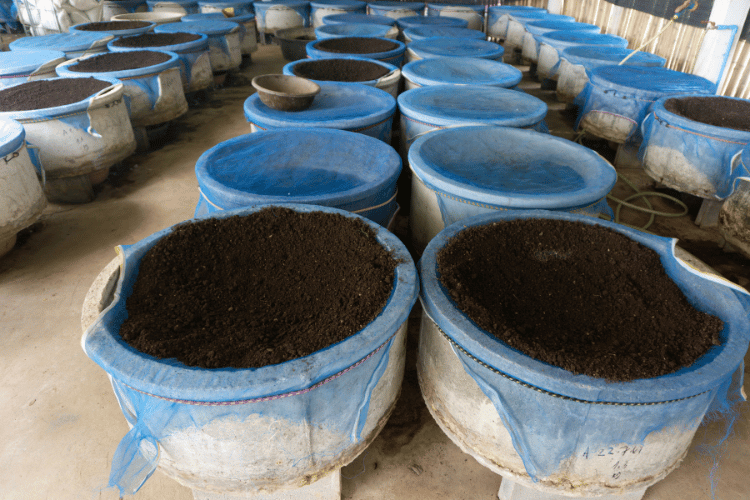 Worm farm bins in a farm