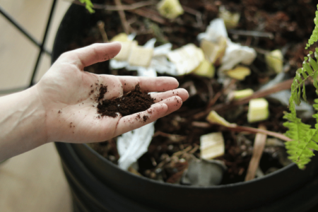 A man checking indoor wormery compost bin, Closeup