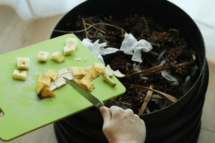 Adding banana peels into indoor wormery compost bin