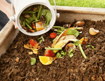 Woman adding fruits peels to compost