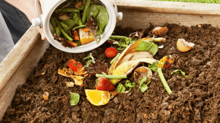 Woman adding fruits peels to compost