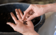 farmer hand holding earthworm